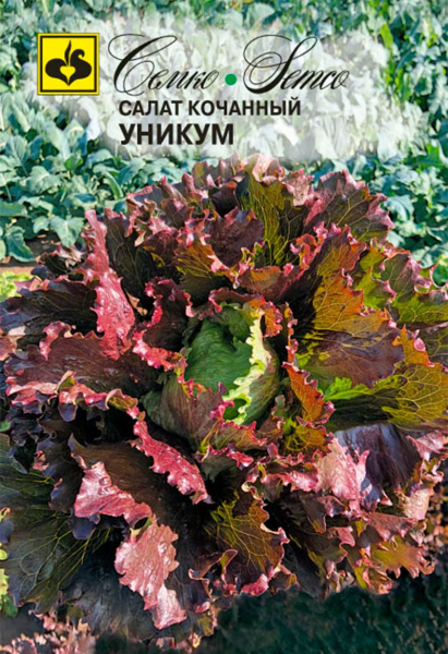 Салат кочанный Уникум (пакет 0,5г)