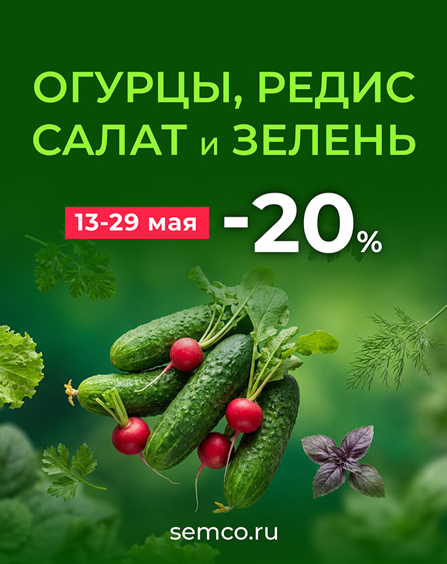 СКИДКА 20% НА СЕМЕНА ОГУРЦОВ, РЕДИСА, САЛАТА И ЗЕЛЕНИ