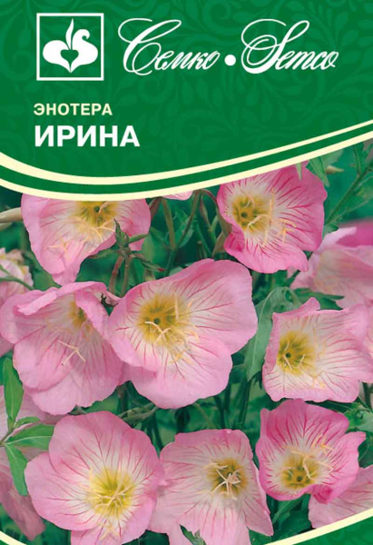 Цветы энотера Ирина (пакет 0,1 г)