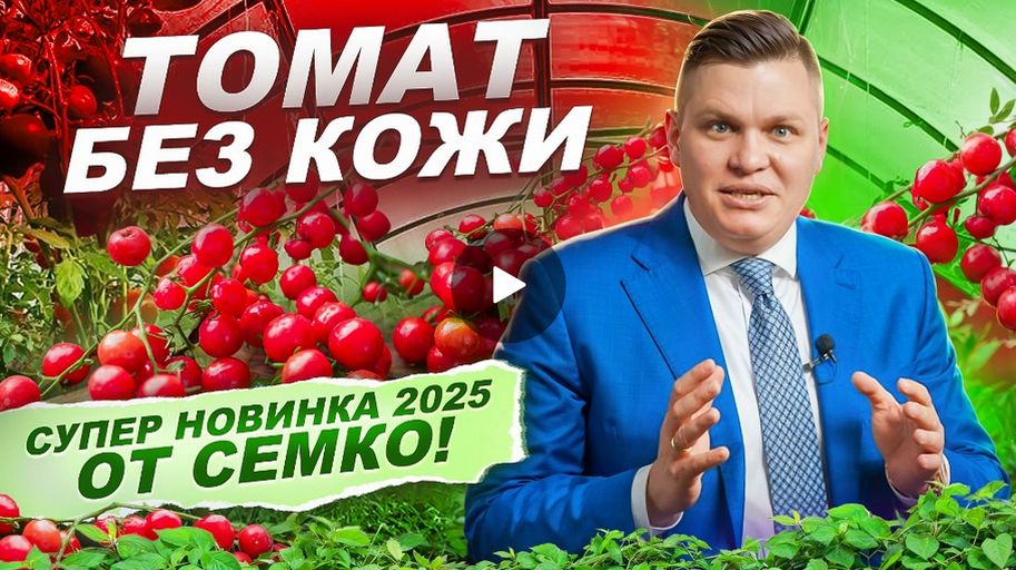 Томат Без Кожи F1 новинка 2025