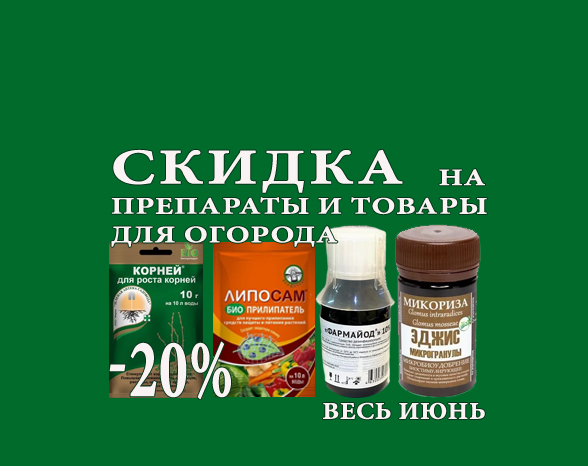 skidka_khimiya_iuyn_2024.jpg