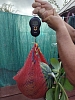 user-photo-review